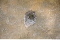 Photo Texture of Wall Plaster 0018